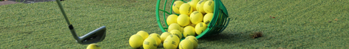 golf-trophy ICD Golf trophy