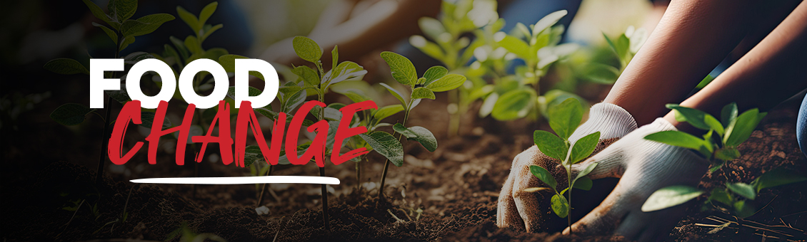 Visuel pour le lancement de food change