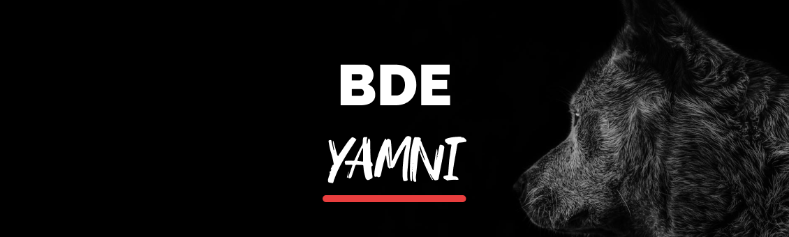 Le BDE Yamni : Audace, Innovation et Solidarité