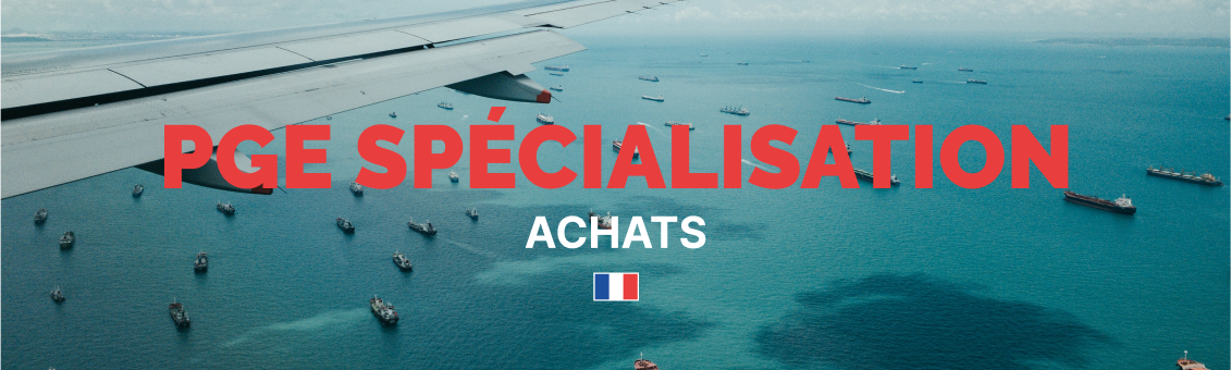 Comment la Spécialisation Achats de l'ICD Répond aux Défis de la Mondialisation