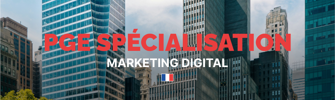 Marketing Digital : La Réponse aux Nouveaux Défis du Commerce en Ligne
